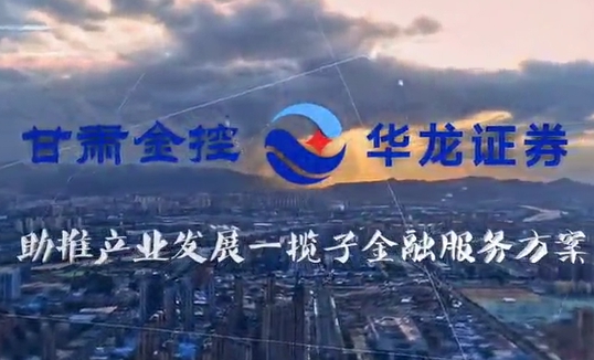 甘肃w66利来集团助推产业发展一揽子金融服务方案汇报片